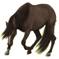 Pony Deutsches Reitpony Rotbrauner