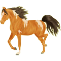Reitpferd Lusitano Hellgrau