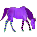 Reitpferd Araber Dunkelbrauner