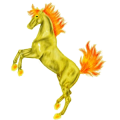 Reitpferd Englisches Vollblut Dunkelfuchs