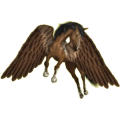 Pegasus-Reitpferd Knabstrupper Schabrackenrappe