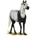 Pegasus-Reitpferd Andalusier Apfelschimmel