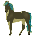 Reitpferd Mustang Roan