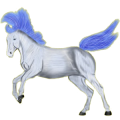 Reitpferd Trakehner Rotbrauner