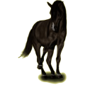 Pony Deutsches Reitpony Fuchs