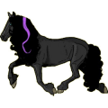 Reitpferd Morgan Brauner