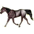 Reitpferd Tennessee Walker Dunkelfuchs mit heller Mähne