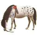 Reitpferd Lipizzaner Hellgrau