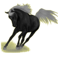Reitpferd Andalusier Rotbrauner