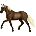 Reitpferd Fuchs mit heller Mähne