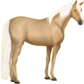 Reitpferd Trakehner Falbe