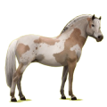 Pegasus-Pony Norweger Braunfalben