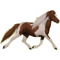 Pony Shetlandpony Brauner