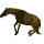 Reitpferd Araber Dunkelbrauner