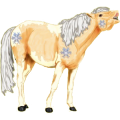 Pony Norweger Braunfalben