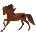 Reitpferd Deutsches Reitpferd Roan
