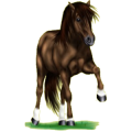 Pony Deutsches Reitpony Fuchs