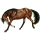 Reitpferd Knabstrupper schwarzer Leopard