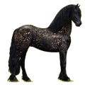 Reitpferd Friese Rappe