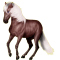 Reitpferd Andalusier Hellgrau