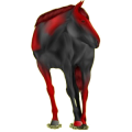 Reitpferd Morgan Fuchs
