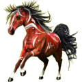 Reitpferd Mustang Rotschecke