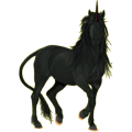 Einhorn-Pony Shetlandpony Rappe
