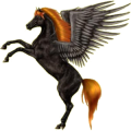 Pegasus-Reitpferd Araber Rappe