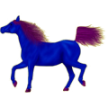 Reitpferd Argentinischer Criollo Rotbrauner