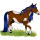 Reitpferd Mustang Apfelschimmel