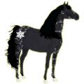 Reitpferd Friese Rappe
