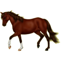 Pegasus-Pony Deutsches Reitpony Brauner