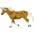 Einhorn-Reitpferd Araber Dunkelbrauner