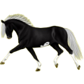 Reitpferd Andalusier Rappe