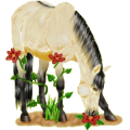 Pony Neufundland Pony Hellgrau