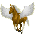 Pegasus-Pony Deutsches Reitpony Rappe