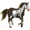 Pony Shetlandpony Fuchs mit heller Mähne