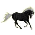 Reitpferd Lusitano Brauner