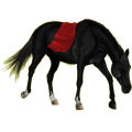 Pony Deutsches Reitpony Dunkelfuchs