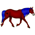 Reitpferd Lusitano Palomino