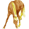 Pony Deutsches Reitpony Dunkelfuchs