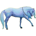 Reitpferd Friese Rappe