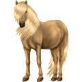 Pony Shetlandpony Fuchs mit heller Mähne