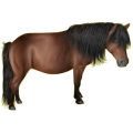 Pony Shetlandpony Dunkelbrauner