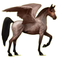 Pegasus-Reitpferd Araber Dunkelbrauner