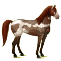 Pegasus-Reitpferd Mustang Wenige schwarze Flecken