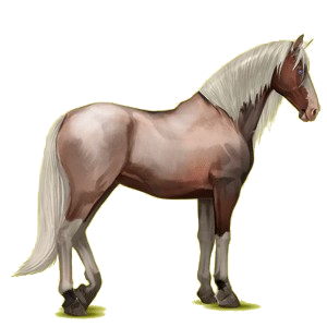 Reitpferd Andalusier Hellgrau