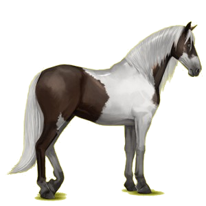 Reitpferd Andalusier Rotbrauner