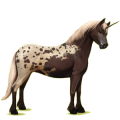Einhorn-Pony Quarter Pony Fuchs