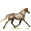 Reitpferd Orlow-Traber Brauner